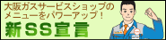 KXT[rXVbṽj[p[AbvIVSS錾